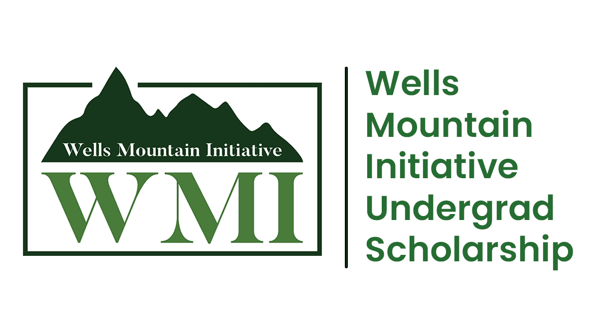 Wells Mountain Initiative (WMI) Scholarship for Undergraduate Students of Developing Countries.