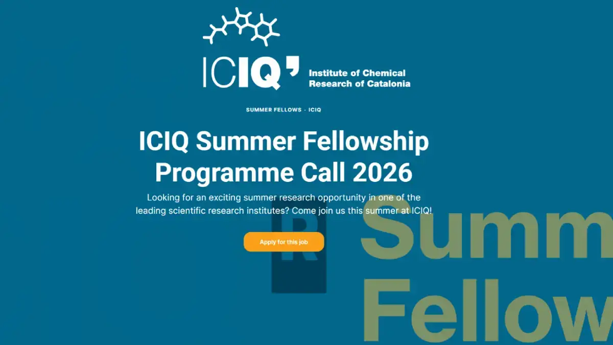 ICIQ Summer Fellowship