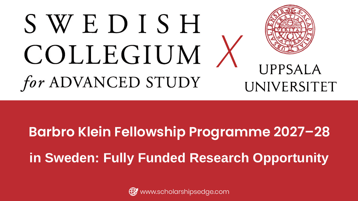 Barbro Klein Fellowship Programme 2027–28