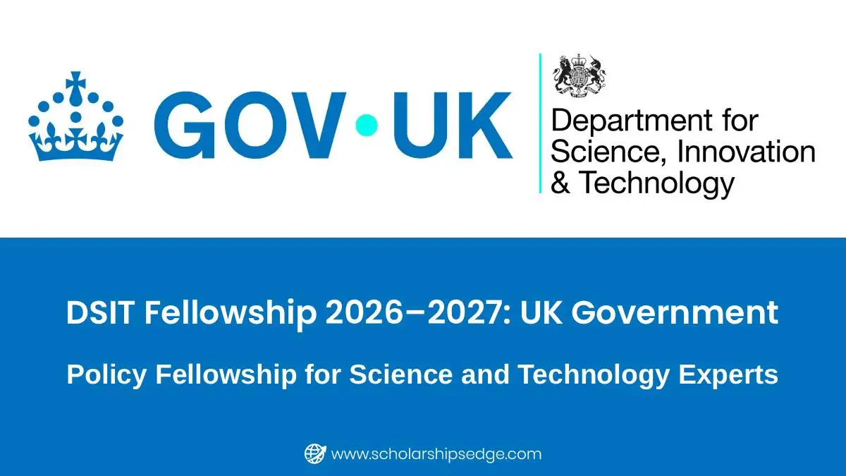DSIT Fellowship 2026/2027