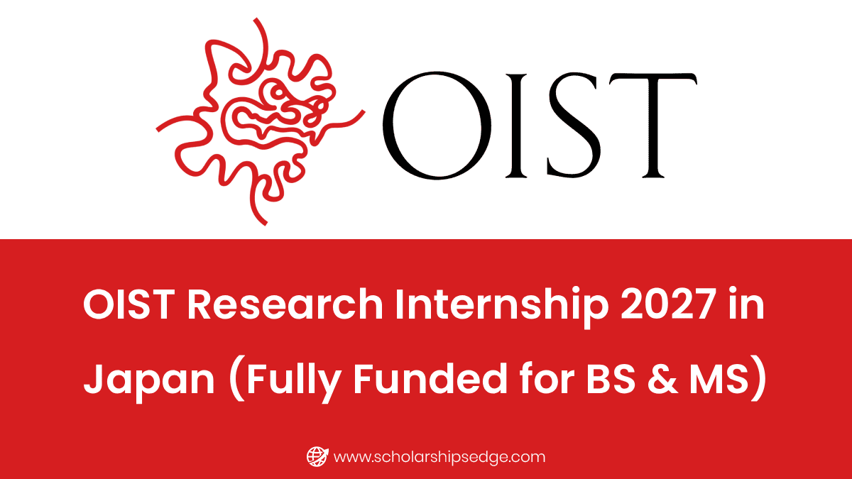 OIST Research Internship 2027