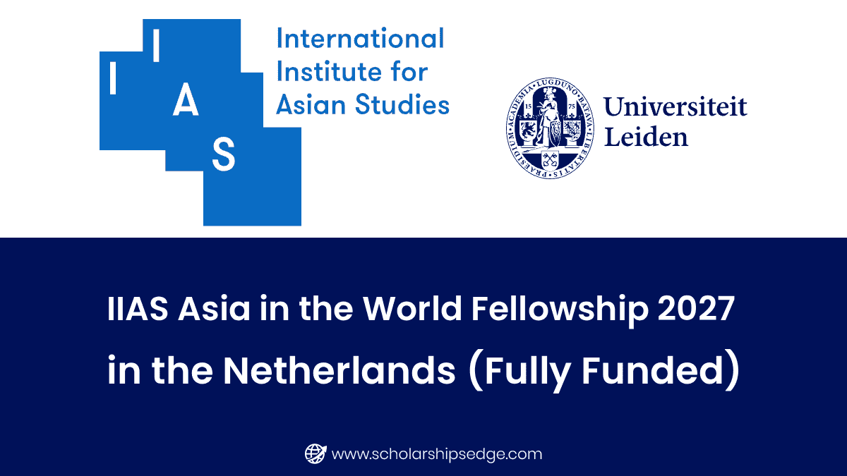 IIAS Asia in the World Fellowship 2027 in the Netherlands