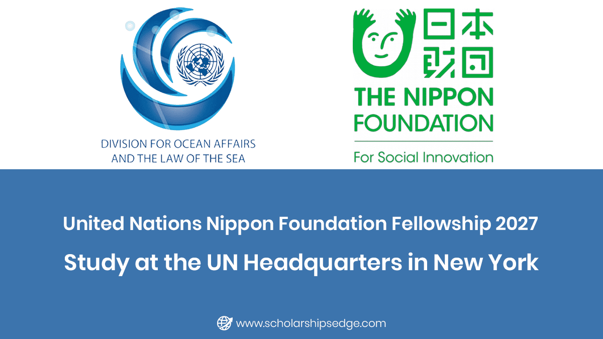 United Nations Nippon Foundation Fellowship 2027